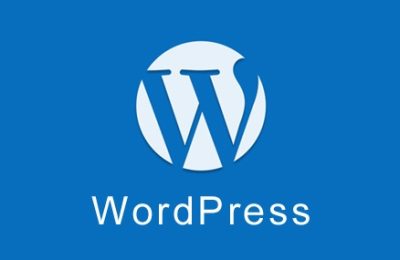 wordpress网站seo优化tdk在哪里设置